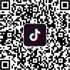 抖音小程序